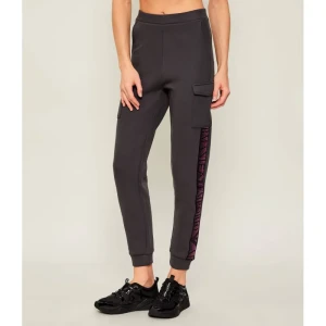 EA7 Spodnie dresowe | Regular Fit