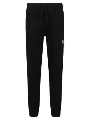 EA7 Spodnie dresowe | Regular Fit