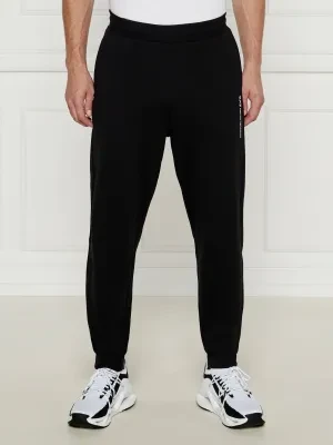 EA7 Spodnie dresowe | Regular Fit