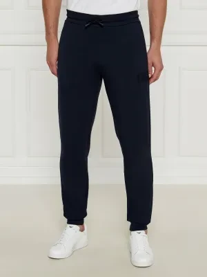 EA7 Spodnie dresowe | Regular Fit
