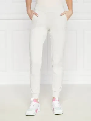 EA7 Spodnie dresowe | Regular Fit
