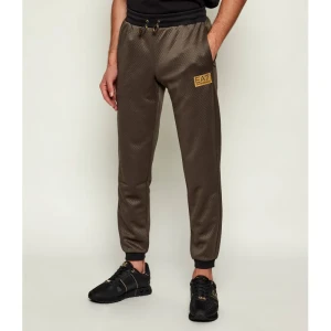 EA7 Spodnie dresowe | Regular Fit
