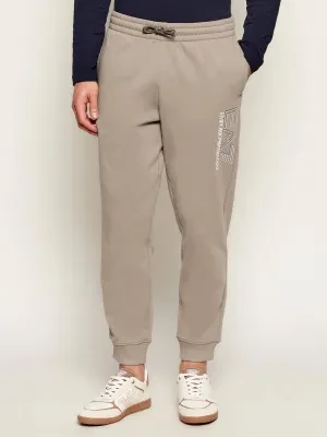 EA7 Spodnie dresowe | Regular Fit