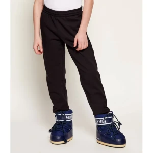 EA7 Spodnie dresowe | Regular Fit