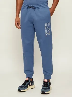 EA7 Spodnie dresowe | Regular Fit