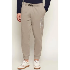EA7 Spodnie dresowe | Regular Fit