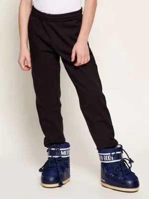 EA7 Spodnie dresowe | Regular Fit