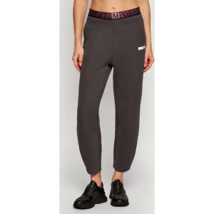 EA7 Spodnie dresowe | Regular Fit