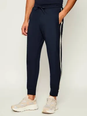 EA7 Spodnie dresowe | Regular Fit