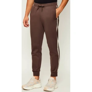 EA7 Spodnie dresowe | Regular Fit