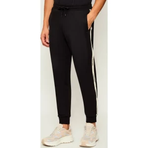 EA7 Spodnie dresowe | Regular Fit