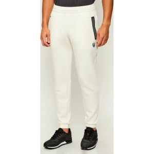 EA7 Spodnie dresowe | Regular Fit
