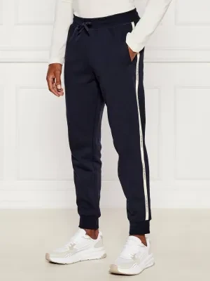 EA7 Spodnie dresowe | Regular Fit