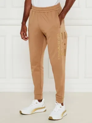 EA7 Spodnie dresowe | Regular Fit