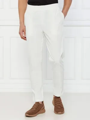 EA7 Spodnie dresowe | Regular Fit