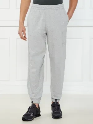 EA7 Spodnie dresowe | Regular Fit