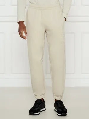 EA7 Spodnie dresowe | Regular Fit