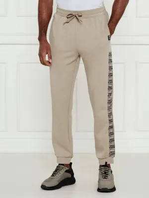 EA7 Spodnie dresowe | Regular Fit