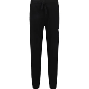 EA7 Spodnie dresowe | Regular Fit