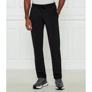 EA7 Spodnie dresowe | Regular Fit