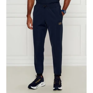 EA7 Spodnie dresowe | Regular Fit