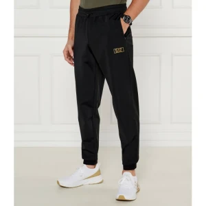 EA7 Spodnie dresowe | Regular Fit