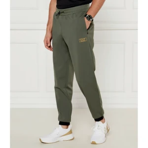 EA7 Spodnie dresowe | Regular Fit