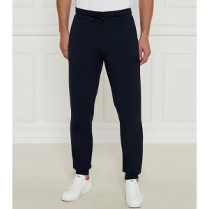 EA7 Spodnie dresowe | Regular Fit