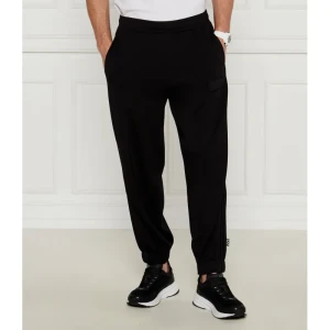 EA7 Spodnie dresowe | Regular Fit