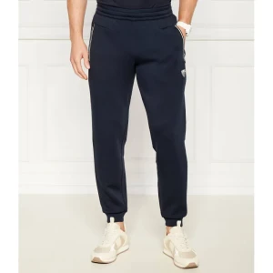 EA7 Spodnie dresowe | Regular Fit