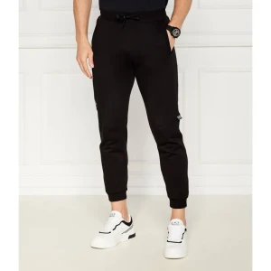 EA7 Spodnie dresowe | Regular Fit