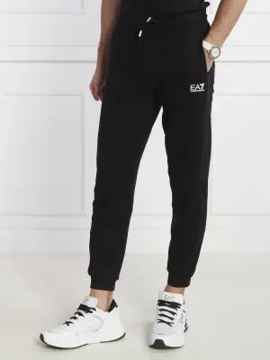 EA7 Spodnie dresowe | Regular Fit