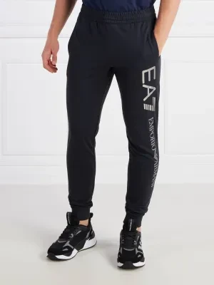 EA7 Spodnie dresowe | Regular Fit