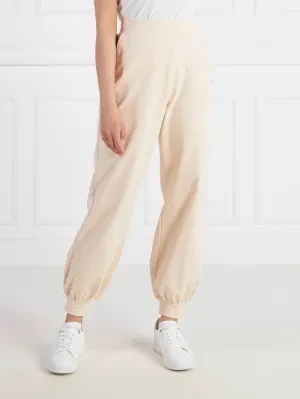 EA7 Spodnie dresowe | Regular Fit