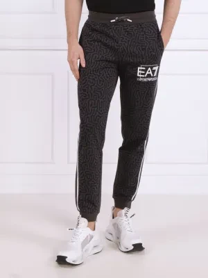 EA7 Spodnie dresowe | Regular Fit