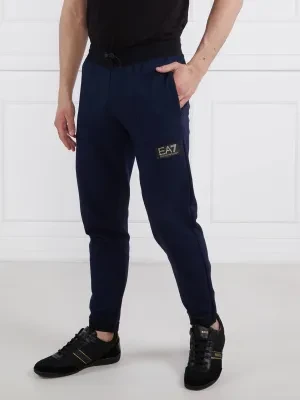 EA7 Spodnie dresowe | Regular Fit