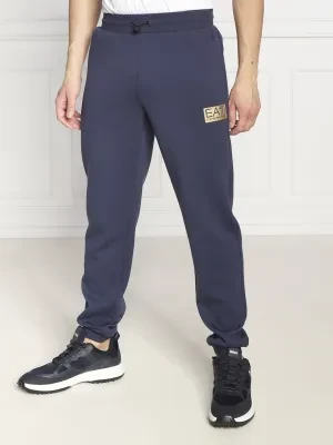EA7 Spodnie dresowe | Regular Fit