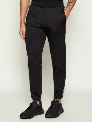 EA7 Spodnie dresowe | Regular Fit