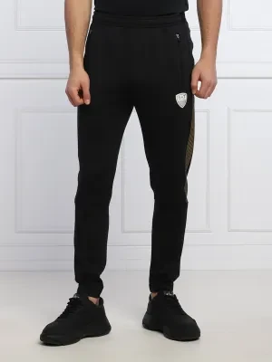EA7 Spodnie dresowe | Regular Fit