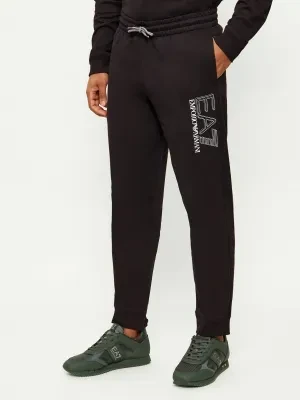 EA7 Spodnie dresowe | Regular Fit