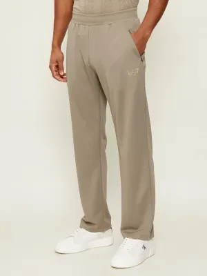 EA7 Spodnie dresowe | Regular Fit