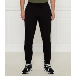 EA7 Spodnie dresowe | Regular Fit