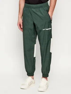 EA7 Spodnie dresowe | Regular Fit