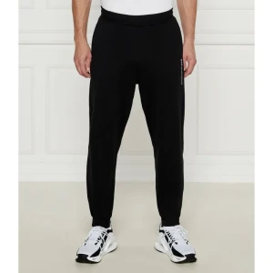 EA7 Spodnie dresowe | Regular Fit