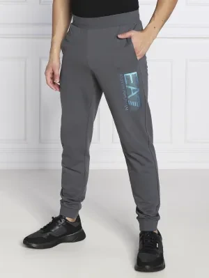 EA7 Spodnie dresowe | Regular Fit