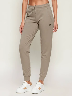 EA7 Spodnie dresowe | Regular Fit