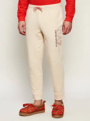 EA7 Spodnie dresowe | Regular Fit