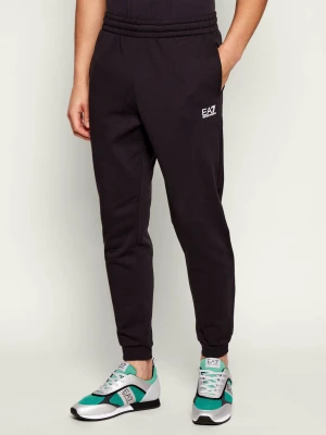 EA7 Spodnie dresowe | Regular Fit