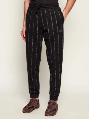 EA7 Spodnie dresowe | Regular Fit czarny