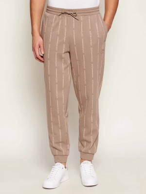 EA7 Spodnie dresowe | Regular Fit